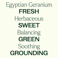 Undiluted, therapeutic-grade Organic Egyptian Geranium essential oil
