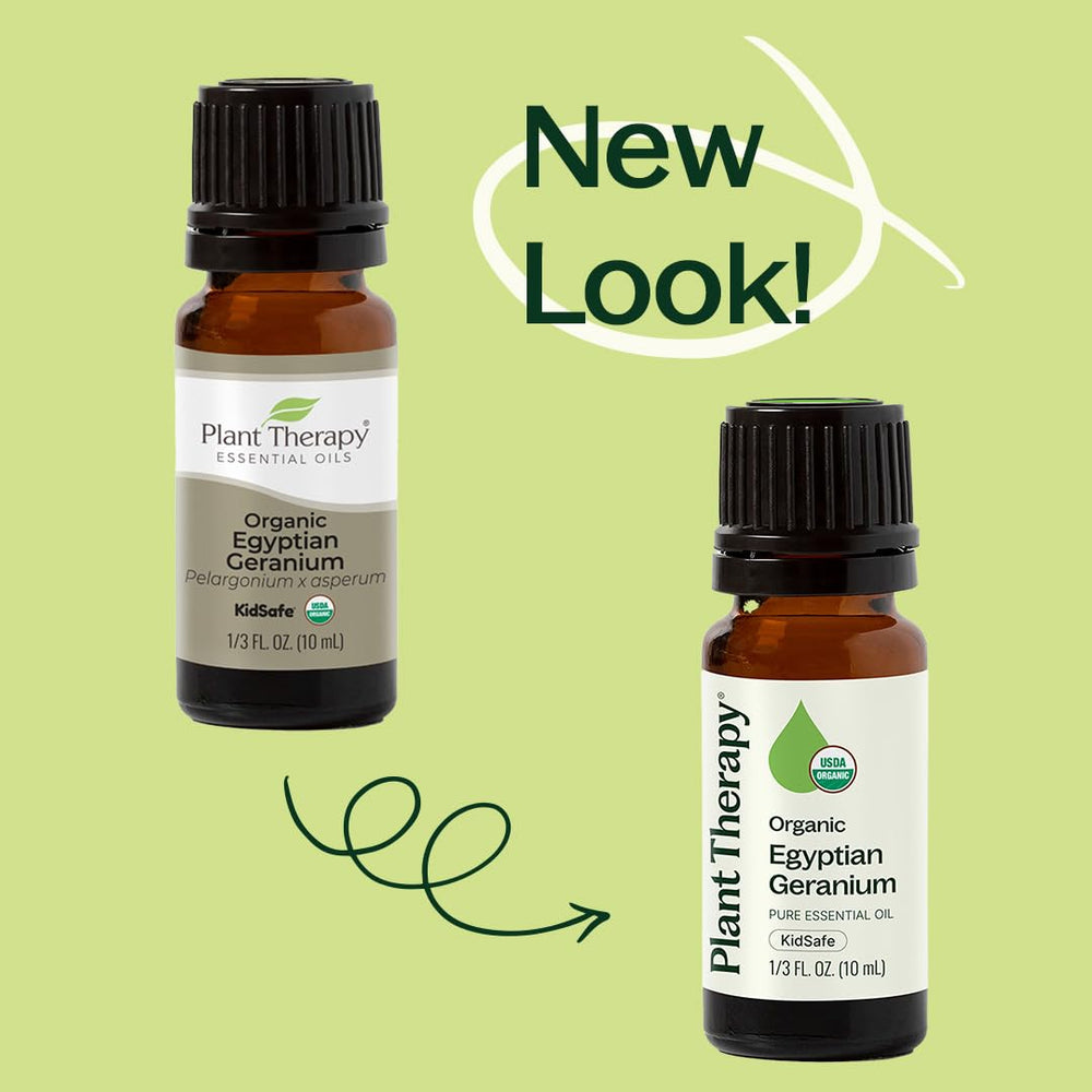 Aromatherapy setup with Geranium essential oil