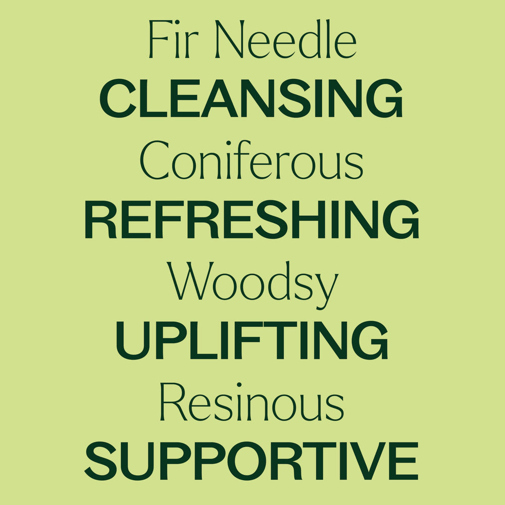 Plant Therapy Fir Needle with Carrier Oil for relaxing massage.
