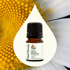 European dropper cap on chamomile essential oil bottle