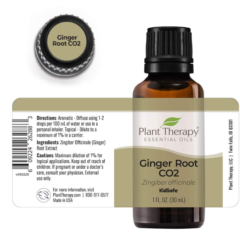 Plant Therapy Ginger Root CO2 closeup aroma emphasizing rich natural notes