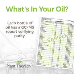 Plant Therapy Ginger Root CO2 diffuser-scene capturing aromatic spice ambiance