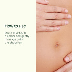 Plant Therapy Gut Aid label close-up with peppermint and fennel notes for tummy comfort.