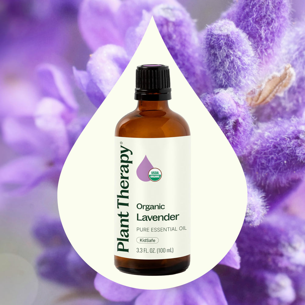 Close-up of lavender essential oil droplets