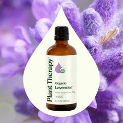 Close-up of lavender essential oil droplets