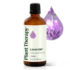 Plant Therapy Lavender Essential Oil bottle 100 mL