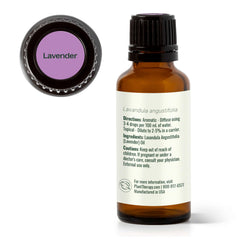Lavender oil applied to the skin for soothing care