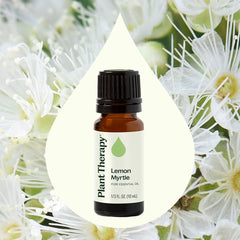 Diffuser with Lemon Myrtle essential oil aroma