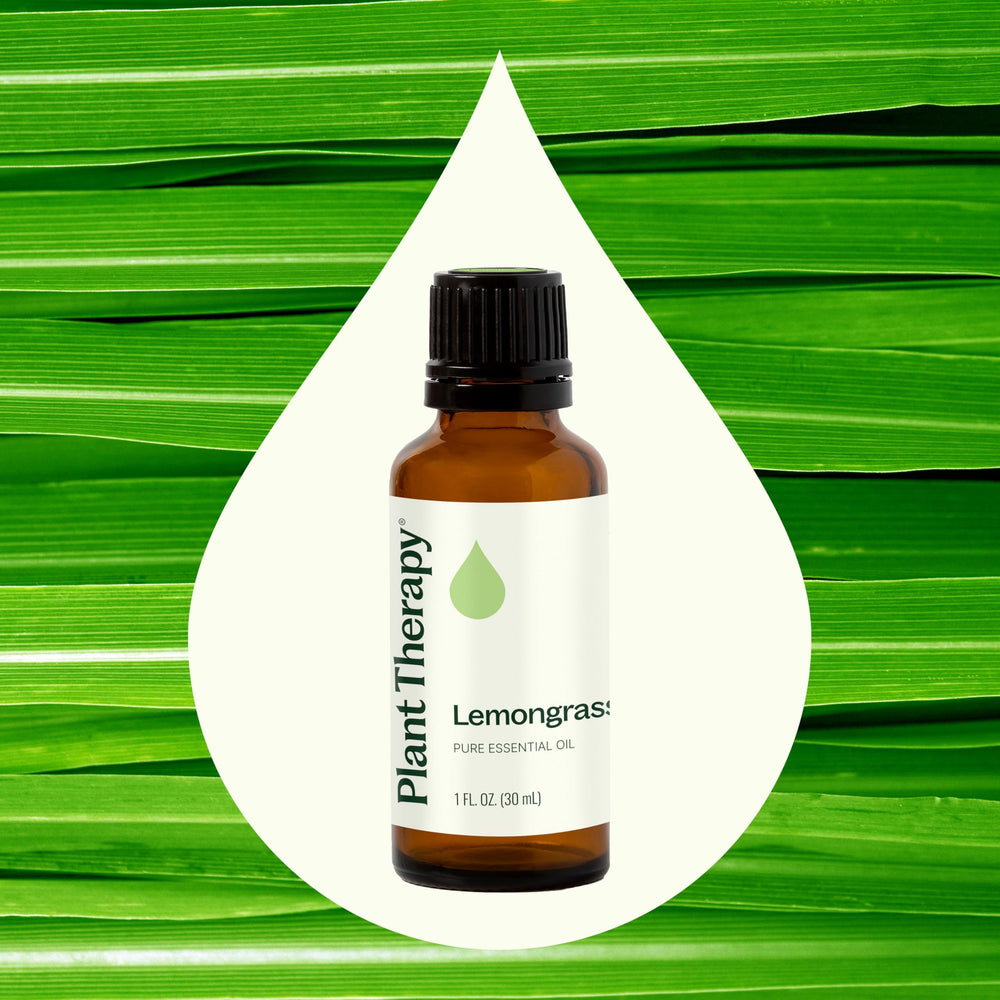 GC-MS batch report for Lemongrass Essential Oil