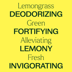 Set of essential oil bottles including Lemongrass on wooden surface