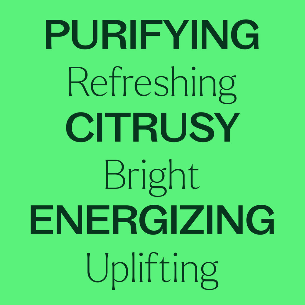 Packaging for Plant Therapy Lime Steam Distilled Essential Oil 10 mL