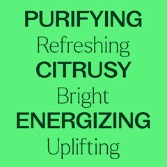 Packaging for Plant Therapy Lime Steam Distilled Essential Oil 10 mL