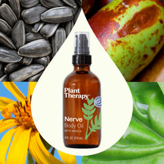 Label of Plant Therapy Nerve Body Oil with Arnica 4 oz