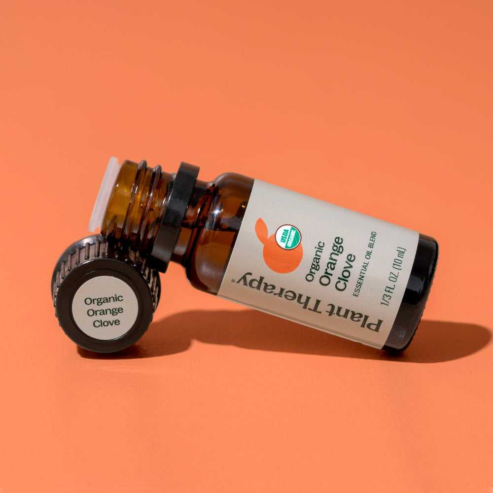 DIY cleaners using Plant Therapy Orange Clove essential oil blend