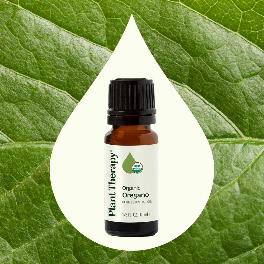 GC-MS laboratory test report for oregano essential oil
