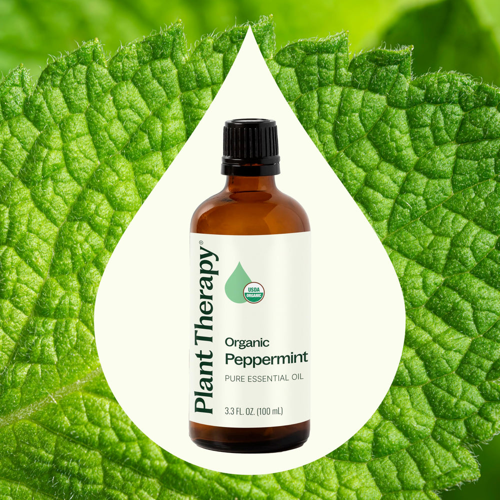 Close-up of peppermint essential oil bottle labeled Plant Therapy.