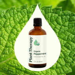 Close-up of peppermint essential oil bottle labeled Plant Therapy.