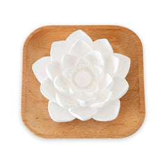Front view of Plant Therapy Passive Lotus Flower Diffuser