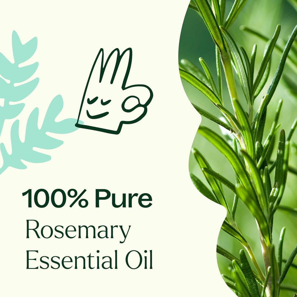 Hair care concept featuring rosemary oil