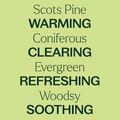 Scots Pine essential oil diffusing in a room