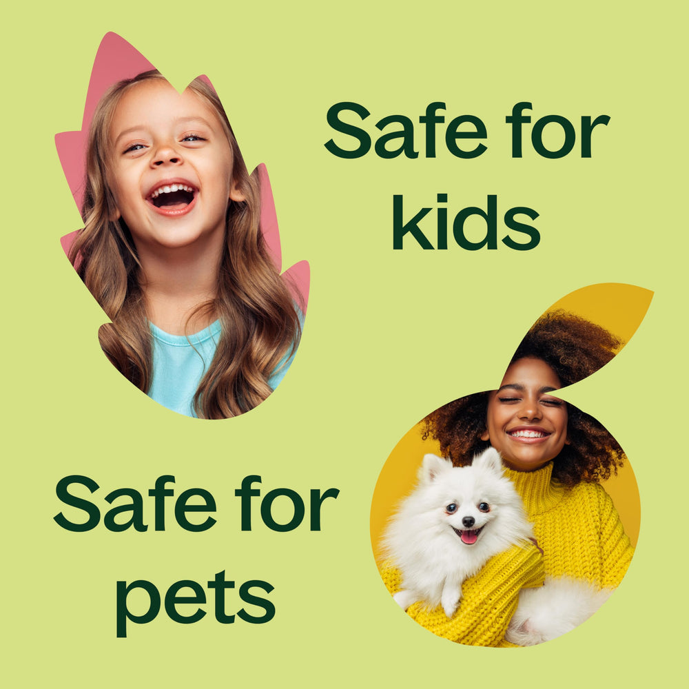 Plant Therapy Sunflower Diffuser packaging