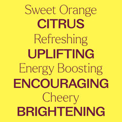 Diffuser setup with orange essential oil bottle