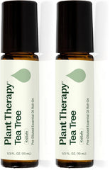 Pack of two 10 mL Plant Therapy Tea Tree Essential Oil roll-on bottles