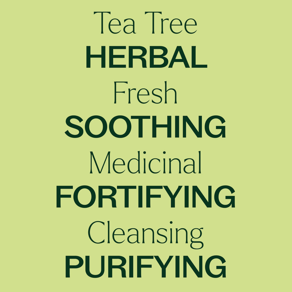 Roll-on applicator tip for Plant Therapy Tea Tree Essential Oil