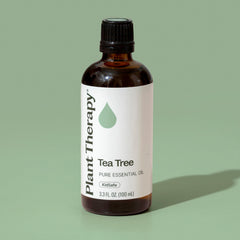GC-MS batch report for Plant Therapy Tea Tree Oil