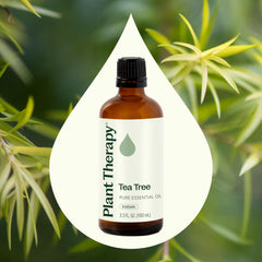 Tea Tree Oil bottle resting on natural wood surface