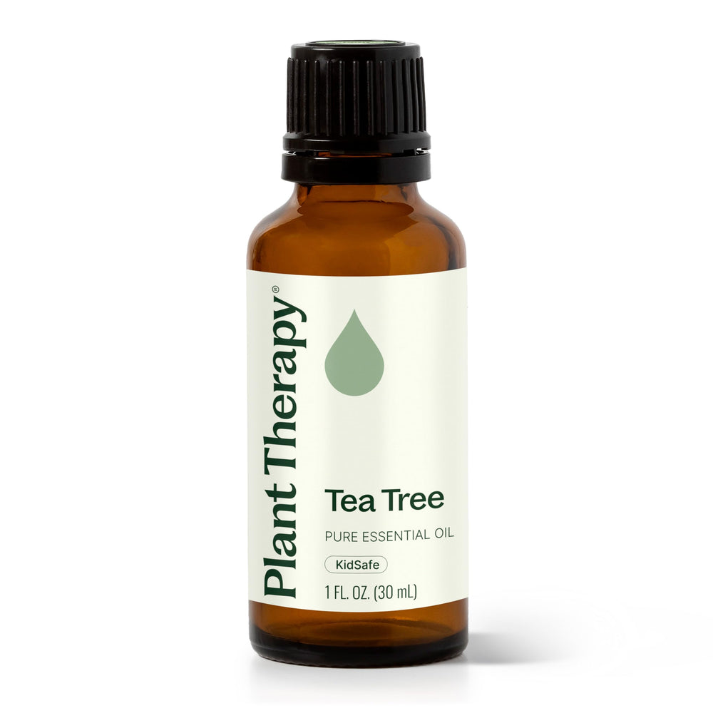 Plant Therapy Tea Tree Oil 30 mL bottle - front view