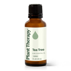 Plant Therapy Tea Tree Oil 30 mL bottle - front view
