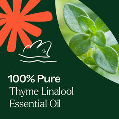 Diffuse Thyme Linalool with citrus oils setup