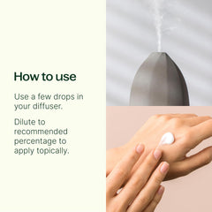 Peppermint essential oil bottle (10 mL) from Plant Therapy Top 6 USDA Organic Set