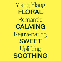 Aromatherapy setup featuring Ylang Ylang Complete Essential Oil