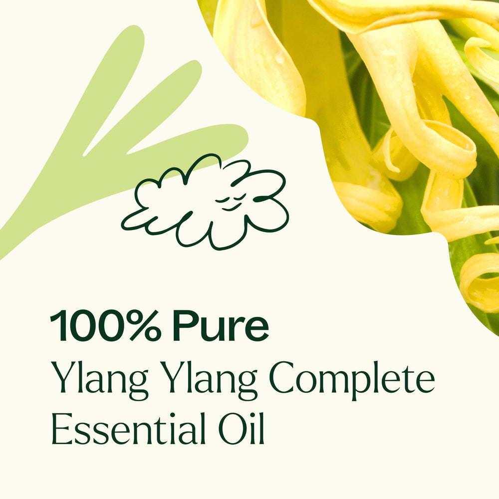 Diffuser emitting aroma with Ylang Ylang essential oil