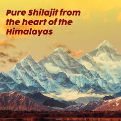 Ingredients showing Himalayan Shilajit with Safed Musli and Saffron