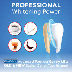 Plus White Speed Whitening Gel pack of 3 components laid out