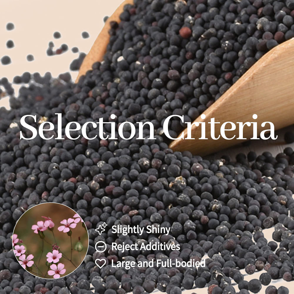 Portable kit pouch for on-the-go use