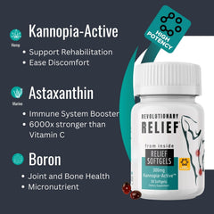 Graphic illustrating KannopiaActive water-soluble hemp technology