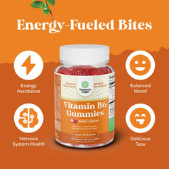 Vegan Vitamin B6 Gummies emphasis on vegan formula