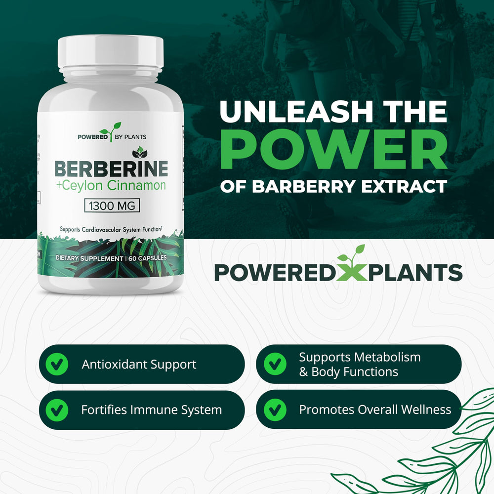 Two-pack POWERED X PLANTS Berberine bottles