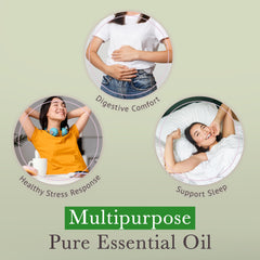 Image illustrating the organic lavender essential oil ingredients