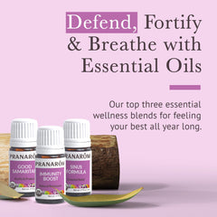 Close-up of three 5ml bottles in the kit