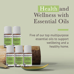 Peppermint essential oil 5ml bottle (Pranarom Top 5 Kit)