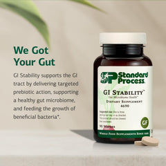 Prebiotic action image for GI Stability