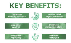 Ingredients for Prebiotin Prebiotic Fiber Powder