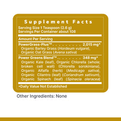 Green smoothie prepared with Premier Organic Greens powder
