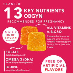 DHA, iodine, zinc and essential vitamins for pregnancy