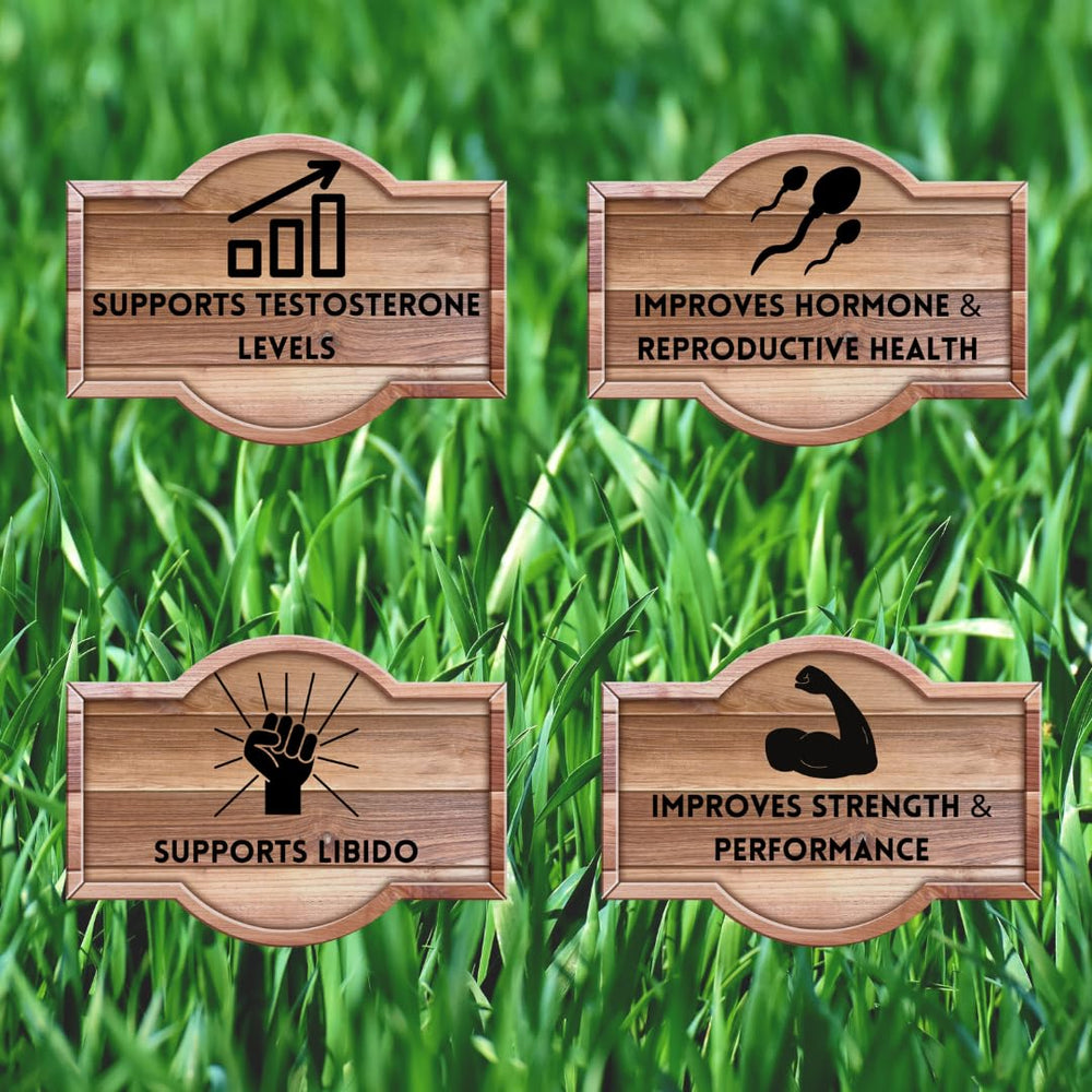 New Zealand sourced grass-fed cattle for Primal Being supplement